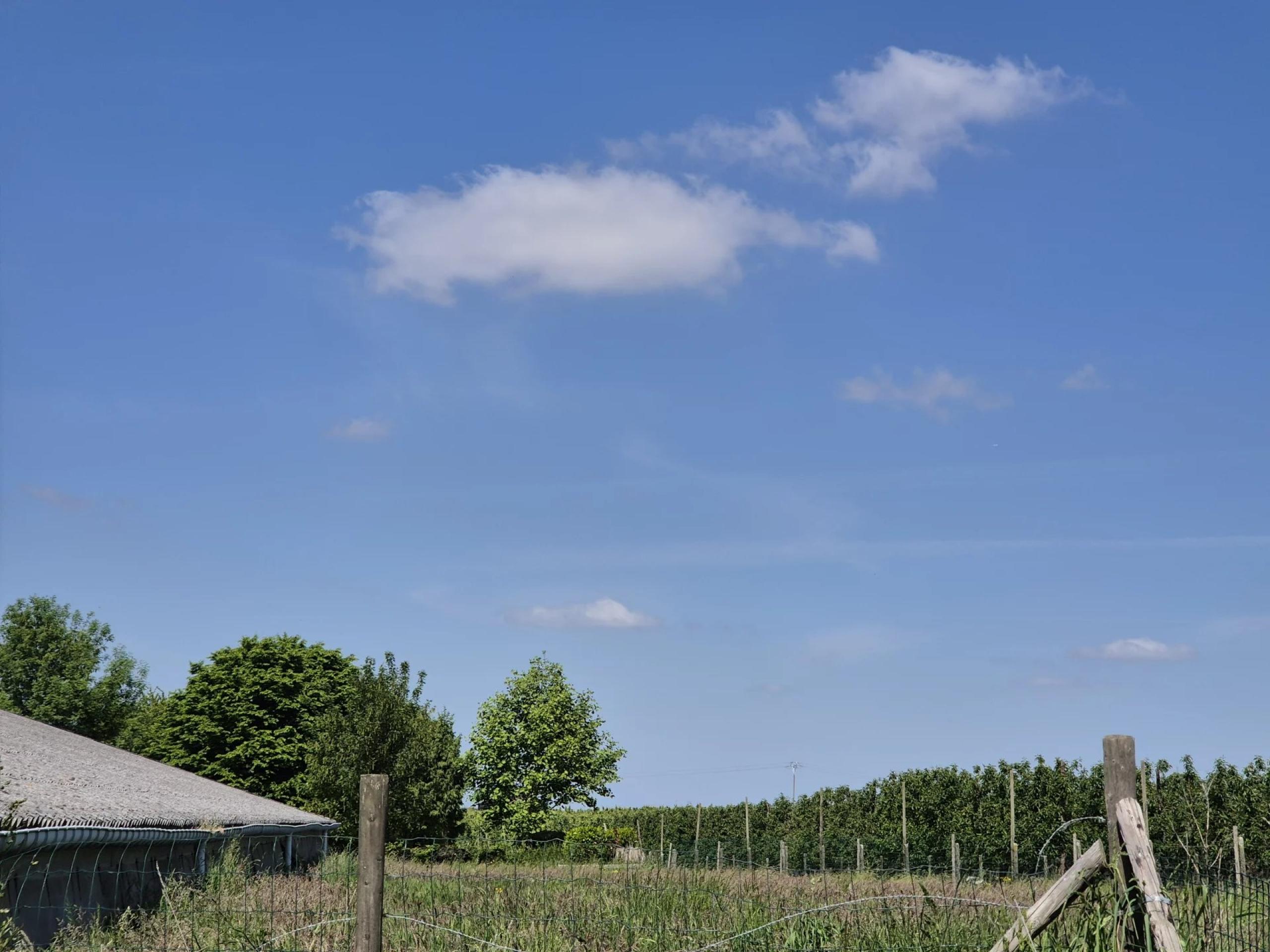 Superbe Ferme en Carré avec 7.823 m² de Terrain