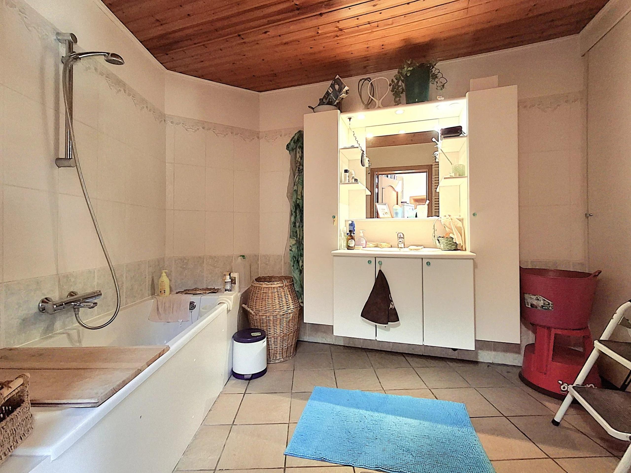 HOUTAIN : Ensemble immobilier: Maison 4ch avec jardin, surface commerciale, 3 appartements, terrain.
