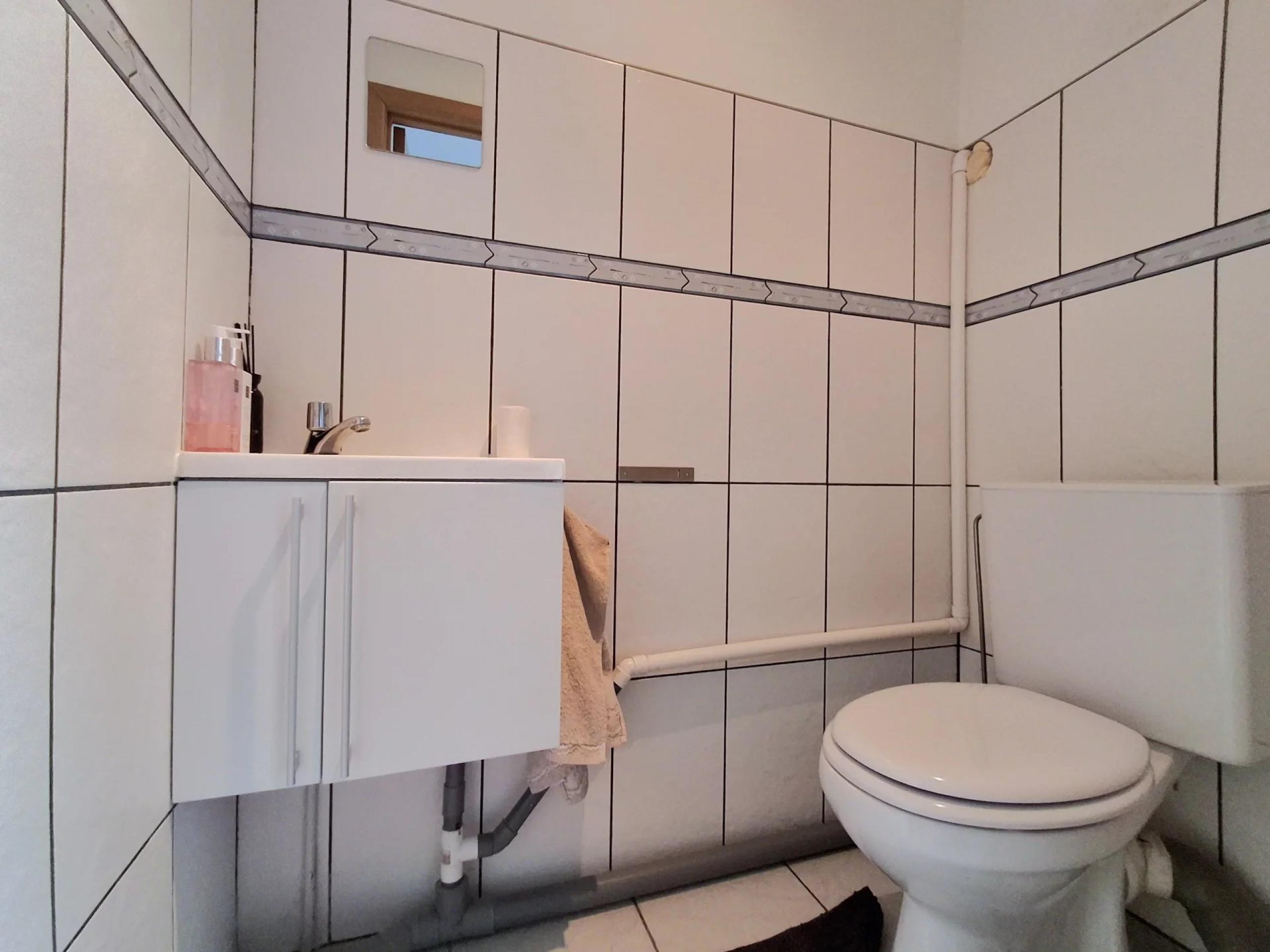 HOUTAIN : Ensemble immobilier: Maison 4ch avec jardin, surface commerciale, 3 appartements, terrain.