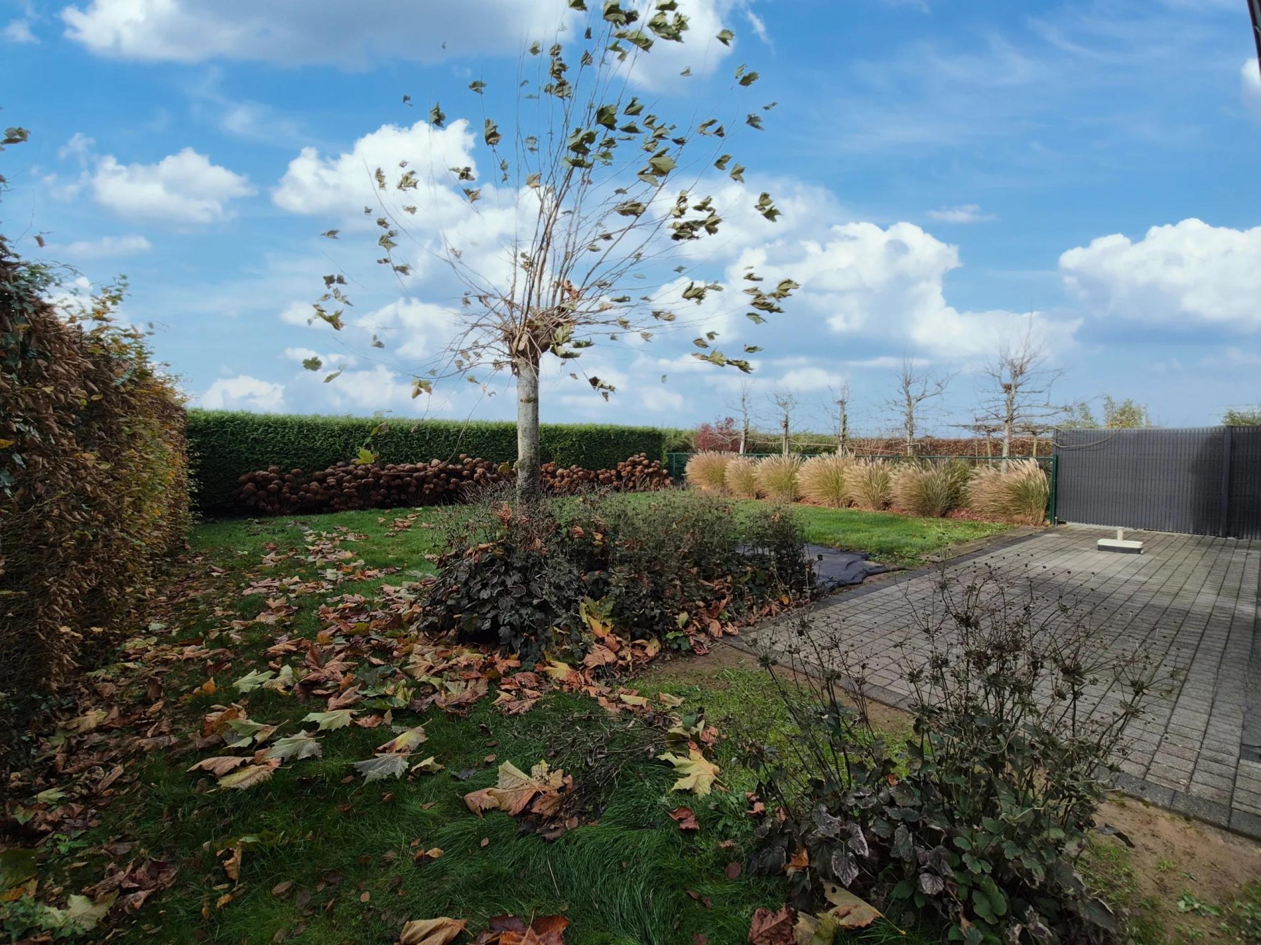 Magnifique maison 3 facades, 3 chambres avec garage et jardin.