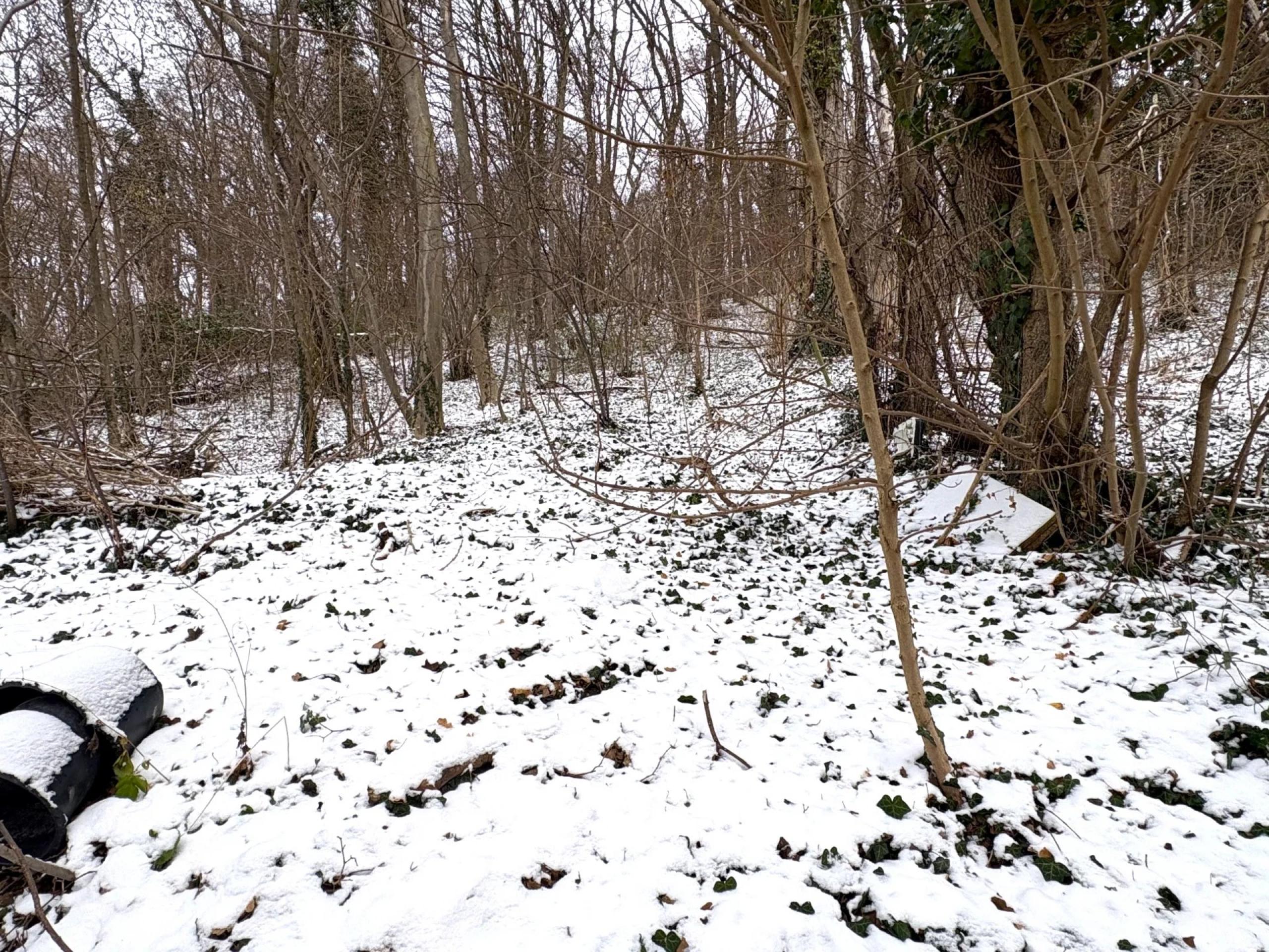 Maison 2 chambres avec terrasse et jardin