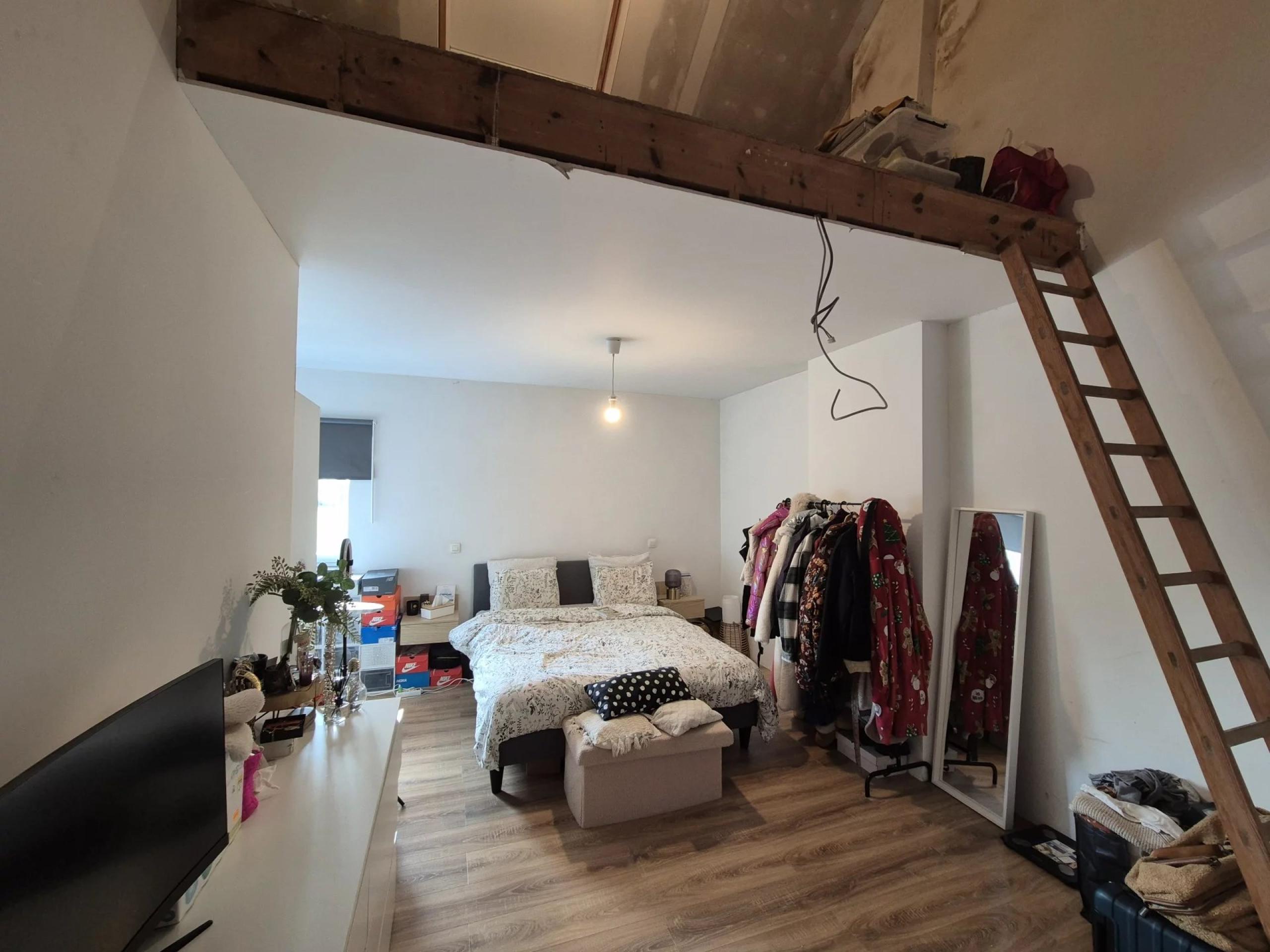 Option ! Jolie maison rénovée 3 chambres, cours et jardin