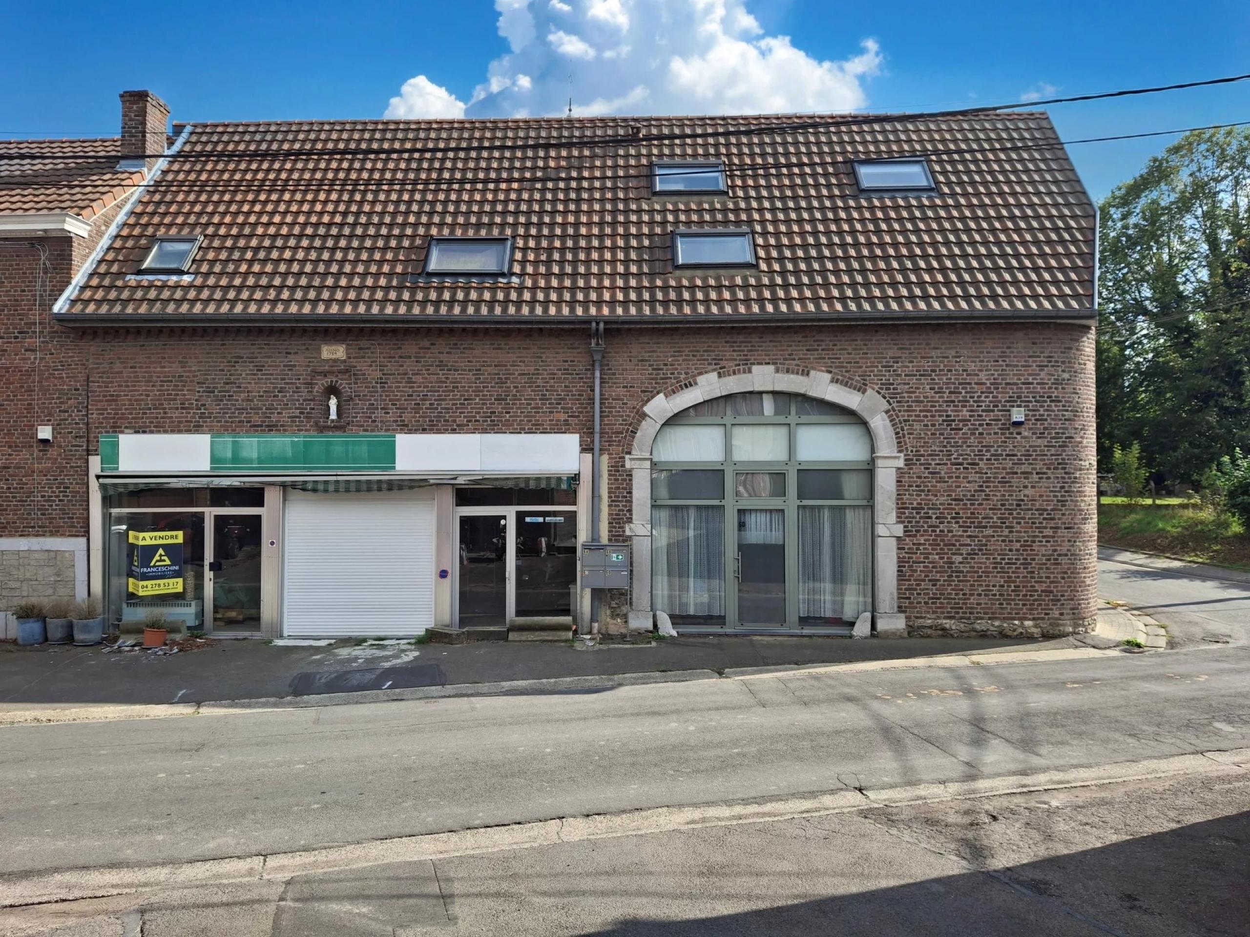 HOUTAIN : Ensemble immobilier: Maison 4ch avec jardin, surface commerciale, 3 appartements, terrain.