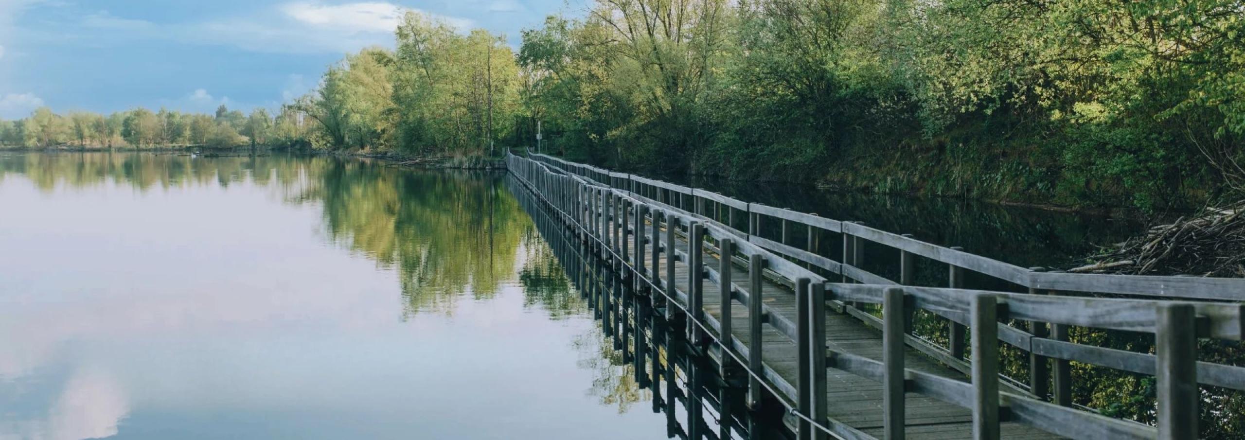 Magnifique appartement neuf, 3 chambres, balcon et vue sur l’étang de la résidence