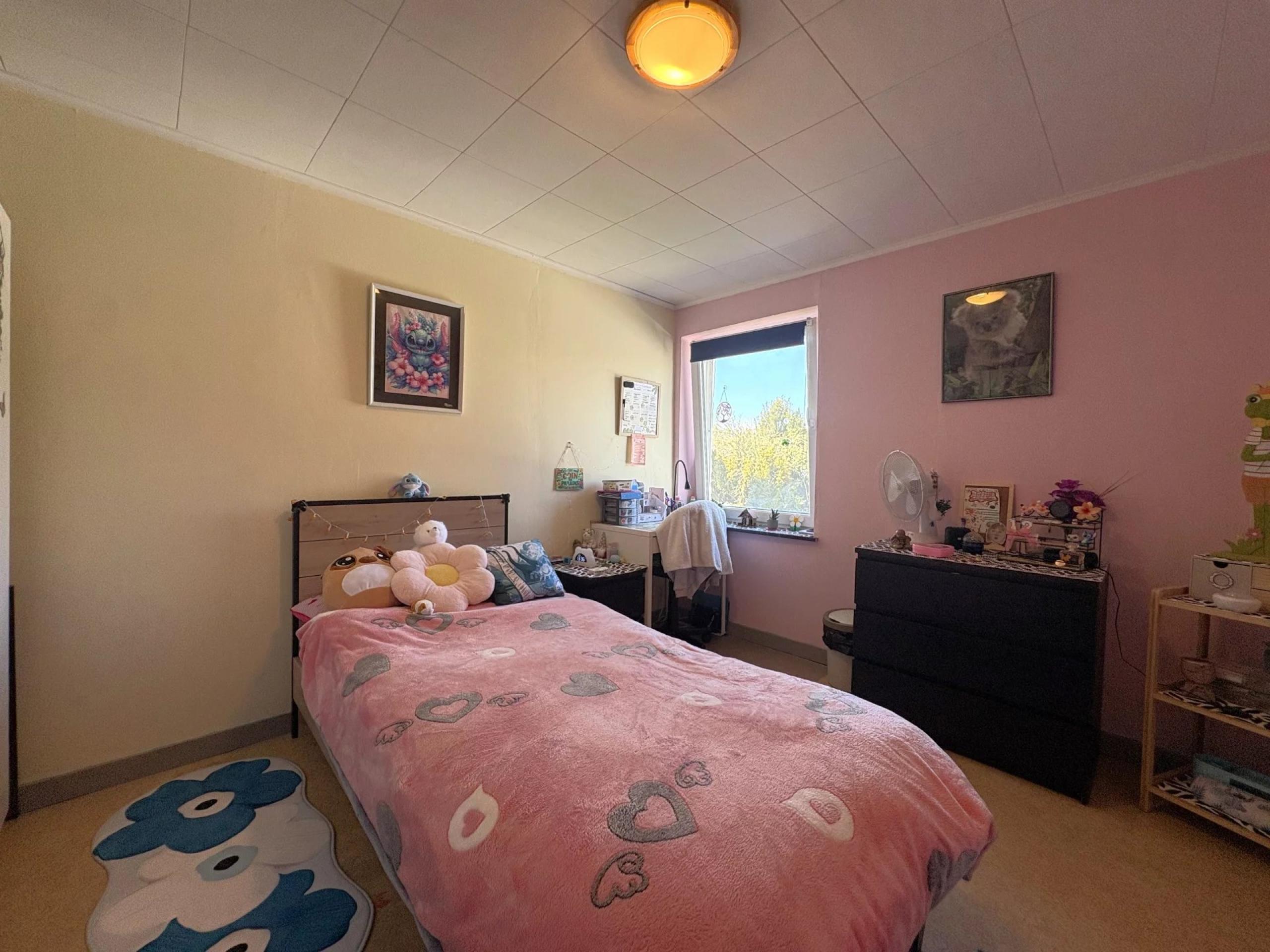 Maison 2 chambres, cour, jardin, 3 garages + prairie attenante