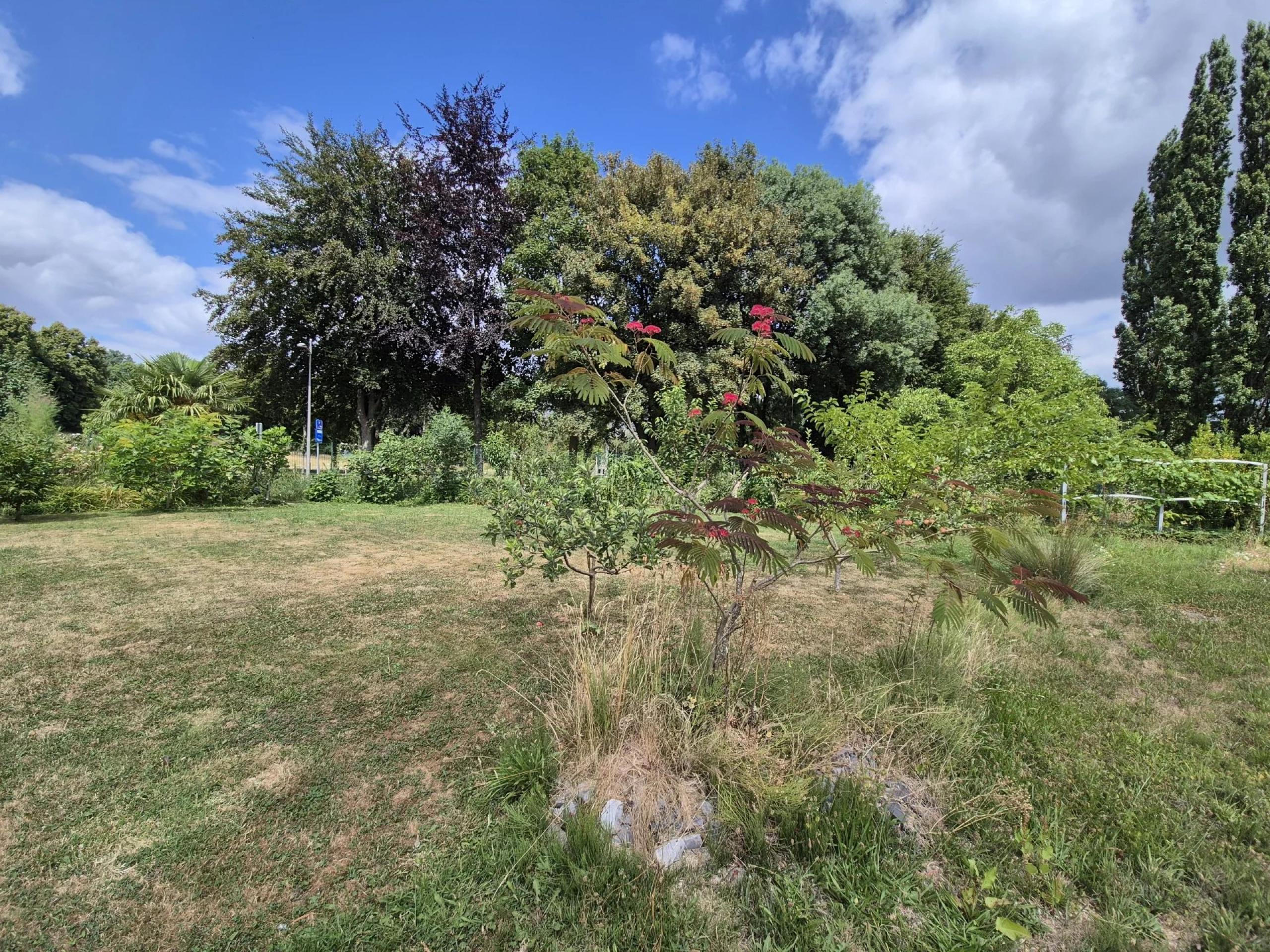 Belle parcelle de terrain plat d’environ 632 m²