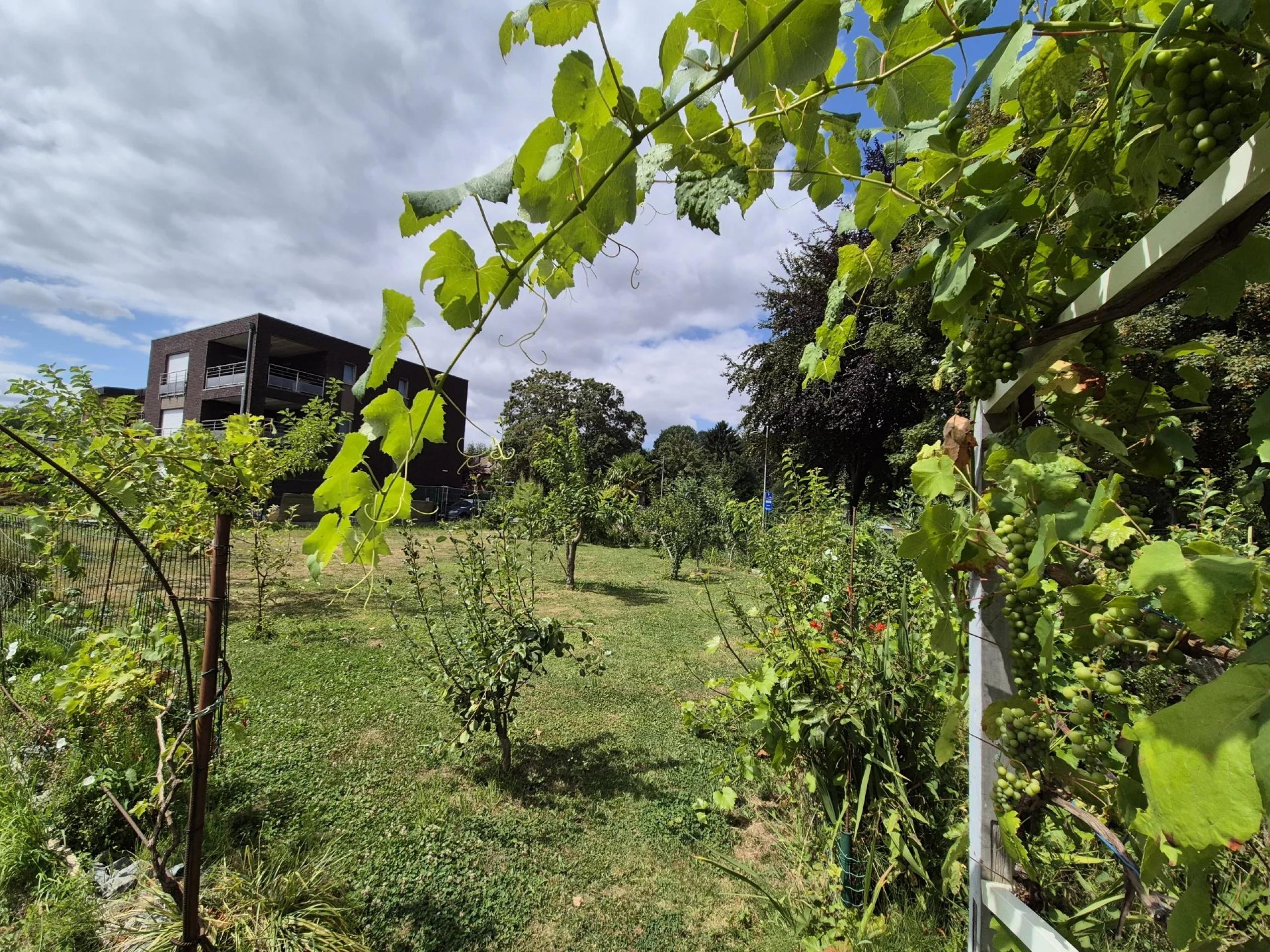 Belle parcelle de terrain plat d’environ 632 m²