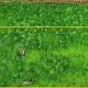 Vendu ! Belle parcelle de terrain plat d'environ 804 m²