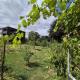 Belle parcelle de terrain plat d’environ 632 m²